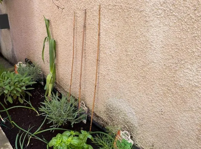 아파트 Via Braschi Sessantotto *