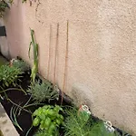 Apartamento Via Braschi Sessantotto *