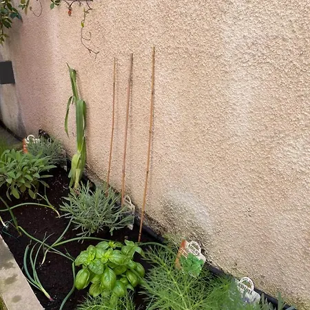 Διαμέρισμα Via Braschi Sessantotto *