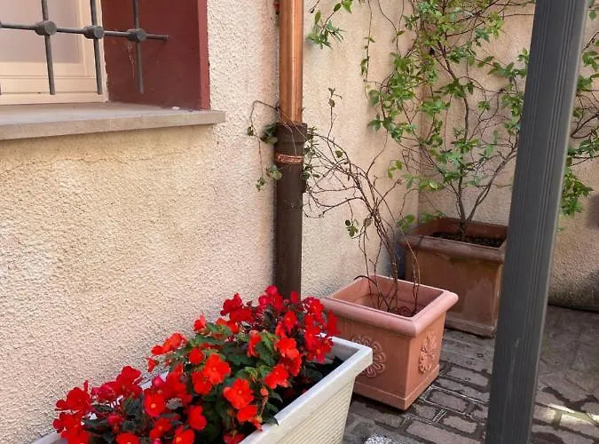 Via Braschi Sessantotto شقة تشيزينا